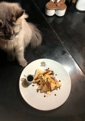 関東風くず餅≡＾。⊥ 。＾≡-レシピのメイン写真