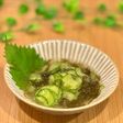 超簡単!わさび風味のきゅうり入りもずく酢