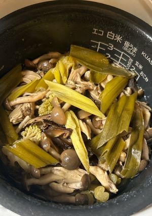炊飯器偉い7 鶏胸肉ブロッコリしめじ煮-レシピのメイン写真