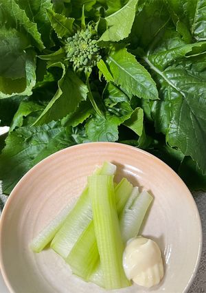 とう立ち大根の茎スティック@レンタル菜園-レシピのメイン写真