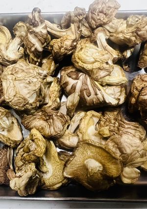 自宅で簡単放置フードドライヤーで干し椎茸-レシピのメイン写真