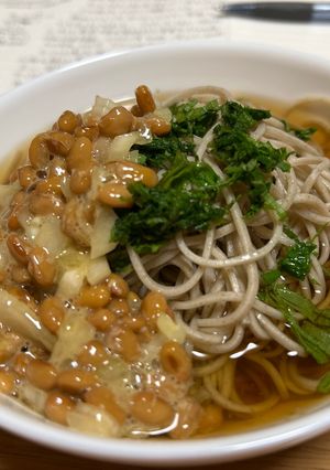さっぱりしそと納豆の冷たいそば-レシピのメイン写真