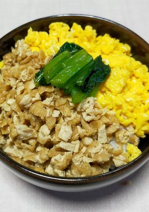 給料日前に!油揚げの肉なしそぼろ丼-レシピのメイン写真