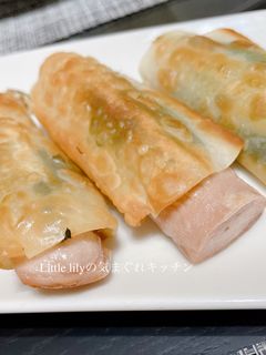 魚肉ソーセージのおつまみ餃子-レシピのメイン写真