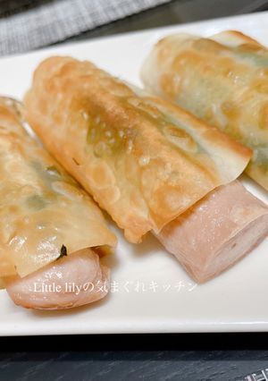 魚肉ソーセージのおつまみ餃子-レシピのメイン写真