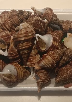 つぶ貝煮付け☆超簡単!おつまみ-レシピのメイン写真