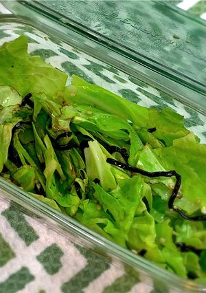 キャベツの塩昆布あえ-レシピのメイン写真