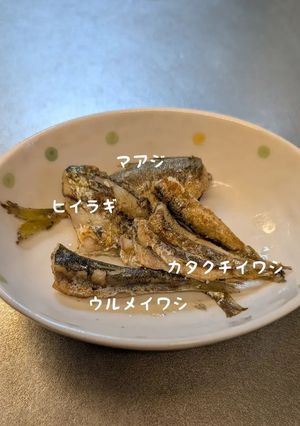 釣った小魚の食べ方-レシピのメイン写真