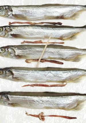 うちの☆ししゃも・小型魚❣下処理は爪楊枝-レシピのメイン写真