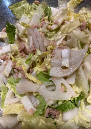 白菜と蓮根のツナサラダ-レシピのメイン写真