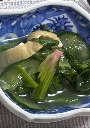 ほうれん草のおひたし-レシピのメイン写真