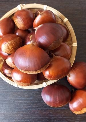栗の追熟-レシピのメイン写真