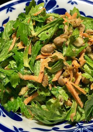 セロリの葉と酢大豆のサラダ-レシピのメイン写真