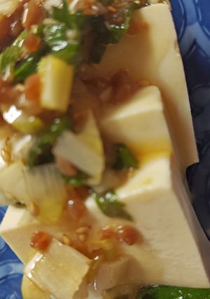 ネギ生姜醤油麹タレのっけ冷奴-レシピのメイン写真