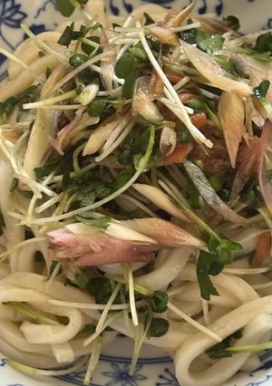 薬味たっぷりの冷やし梅うどん😋-レシピのメイン写真