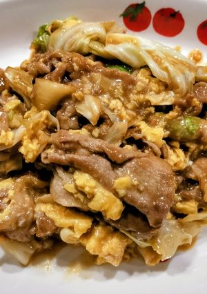 豚肉とキャベツのオイスターソース炒め-レシピのメイン写真