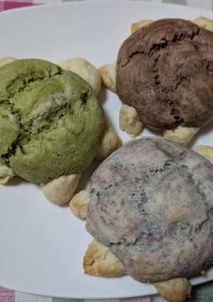 ホットケーキミックスで亀さんメロンパン-レシピのメイン写真