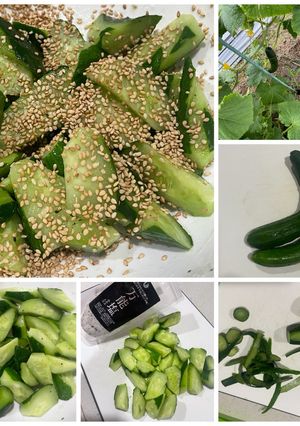 簡単　きゅうりの塩胡麻-レシピのメイン写真