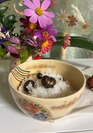 むかごご飯🍚-レシピのメイン写真