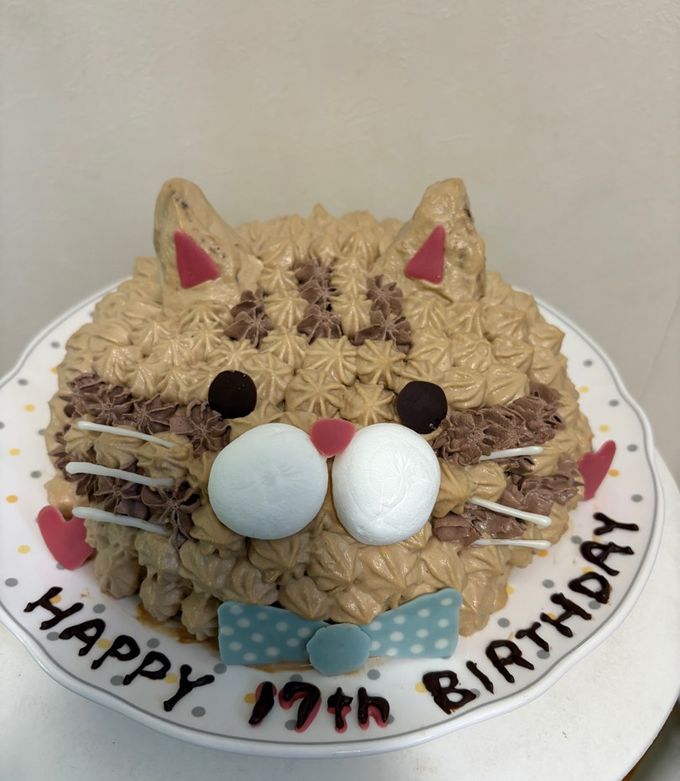 立体ねこケーキ by もりままこ 【クックパッド】 簡単おいしいみんなの 立体ねこケーキ by もりままこ 【クックパッド】 簡単おいしいみんなの