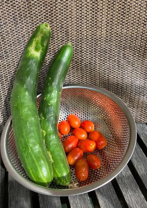 採れすぎミニトマト大量消費⭐︎保存方法-レシピのメイン写真