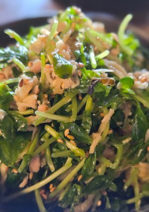 豆苗とツナのサラダ-レシピのメイン写真