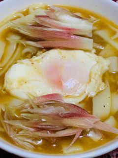 ヒガシマルのカレーうどんみょうが乗せ-レシピのメイン写真