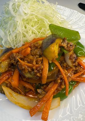 【簡単晩飯】ナスとピーマンの旨辛挽肉炒め-レシピのメイン写真