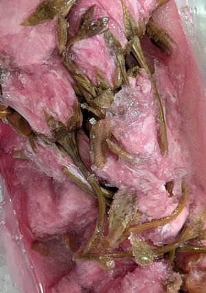 塩と酢だけで桜の花の塩漬け-レシピのメイン写真