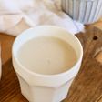 美容に♪甘さ控えめの甘酒