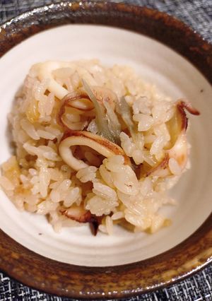 イカとゴボウの炊き込みご飯-レシピのメイン写真
