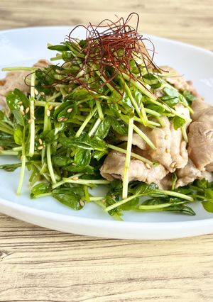 豆苗と豚肉の冷しゃぶ-レシピのメイン写真