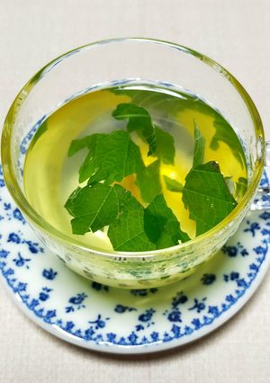しそ柚子茶-レシピのメイン写真