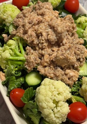 肉そぼろツナソースなのがな?(身内専用)-レシピのメイン写真