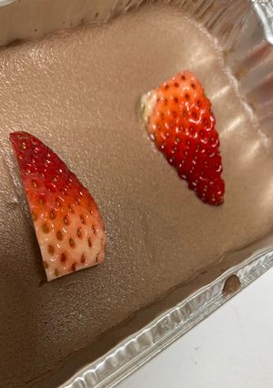 ホイップクリーム救済　チョコプリン-レシピのメイン写真