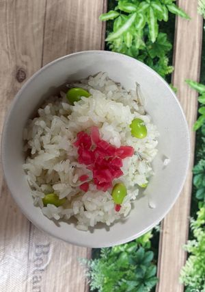 枝豆ごはん(釜揚げしらす入り)-レシピのメイン写真