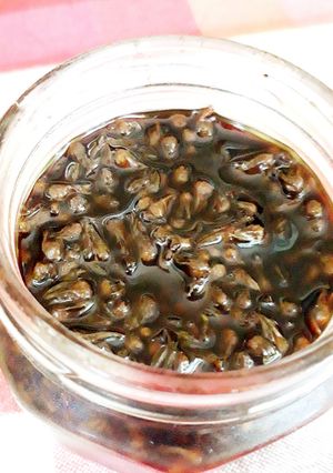 青じその実の醤油漬け-レシピのメイン写真