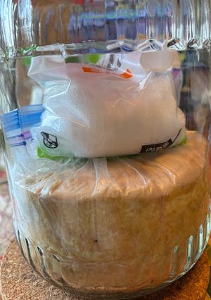 ひよこ豆の味噌【2026記録】-レシピのメイン写真
