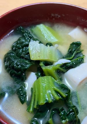雪菜と豆腐の味噌汁-レシピのメイン写真