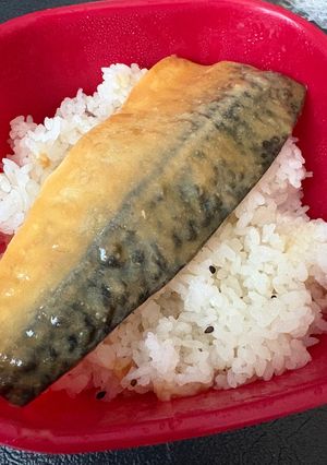 一人暮らしご飯が進む鯖味噌丼-レシピのメイン写真