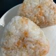 シャケご飯