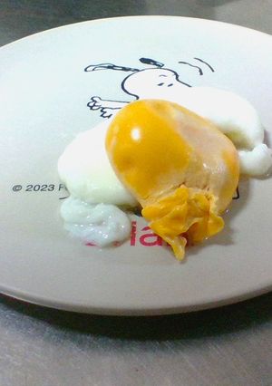 成功99.9％ポーチドエッグ　朝食に☆-レシピのメイン写真