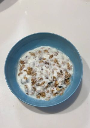 【定番】ヨーグルトグラノーラ-レシピのメイン写真