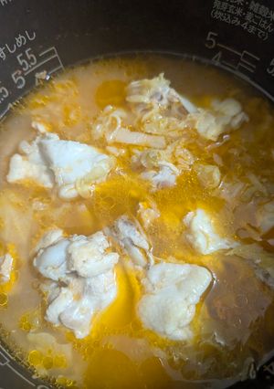 鶏手羽とキャベツのトマト煮物-レシピのメイン写真