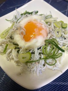盛ってのっけて「ネギ玉半熟しらす丼」-レシピのメイン写真