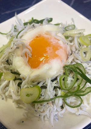 盛ってのっけて「ネギ玉半熟しらす丼」-レシピのメイン写真