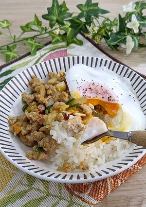 一口食べると止まらない！ガパオライス-レシピのメイン写真