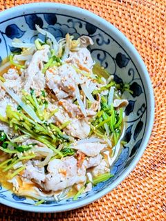 豆苗ともやしの梅風味豚しゃぶサラダ-レシピのメイン写真