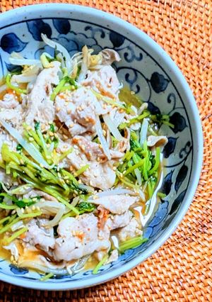 豆苗ともやしの梅風味豚しゃぶサラダ-レシピのメイン写真