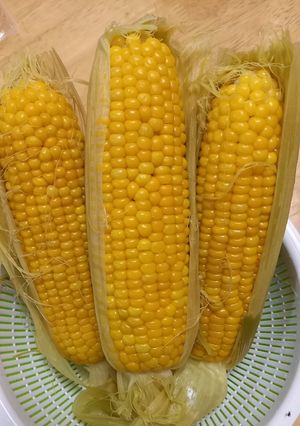 フライパンで、蒸しとうもろこし🌽-レシピのメイン写真